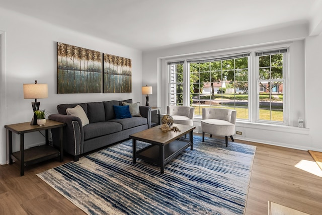1618 Birmingham Blvd, Birmingham, MI 48009 - living area featuring wood finished floors