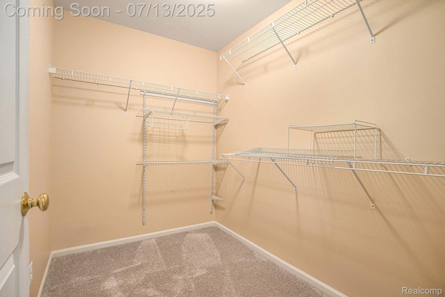 7031 Iris Ct Unit 3, Grand Blanc, MI 48439 - spacious closet featuring carpet flooring