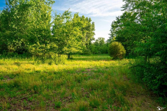 ParcelA Timbers Road, Carleton, MI 48117 - photo 8