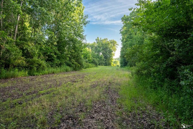ParcelA Timbers Road, Carleton, MI 48117 - photo 13