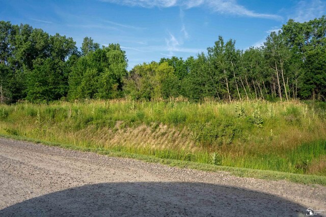 ParcelA Timbers Road, Carleton, MI 48117 - photo 15