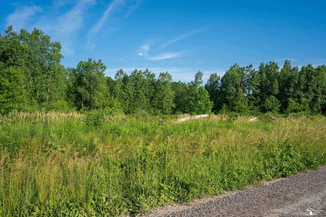 ParcelA Timbers Road, Carleton, MI 48117 - photo 17