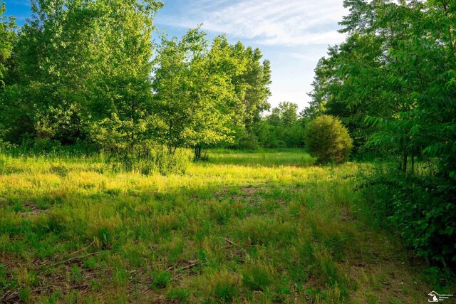 ParcelA Timbers Road, Carleton, MI 48117 - photo 20