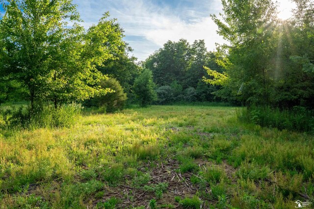 ParcelA Timbers Road, Carleton, MI 48117 - photo 9