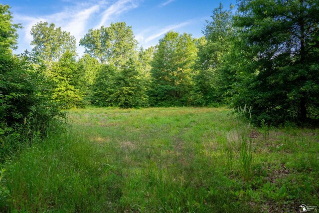 ParcelA Timbers Road, Carleton, MI 48117 - photo 10