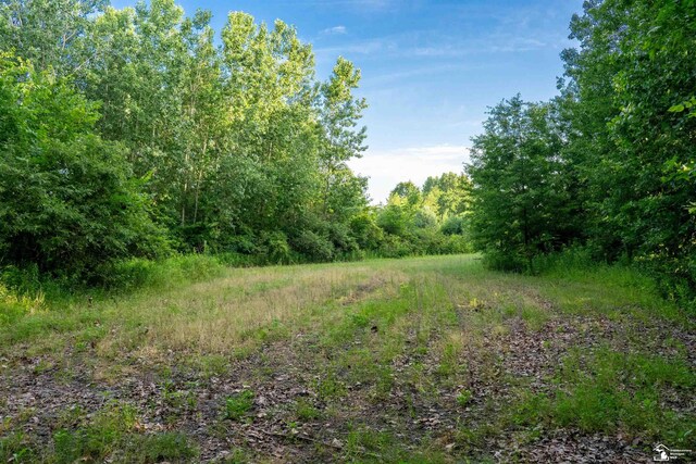 ParcelA Timbers Road, Carleton, MI 48117 - photo 11