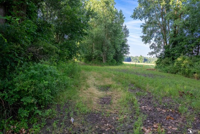 ParcelA Timbers Road, Carleton, MI 48117 - photo 12