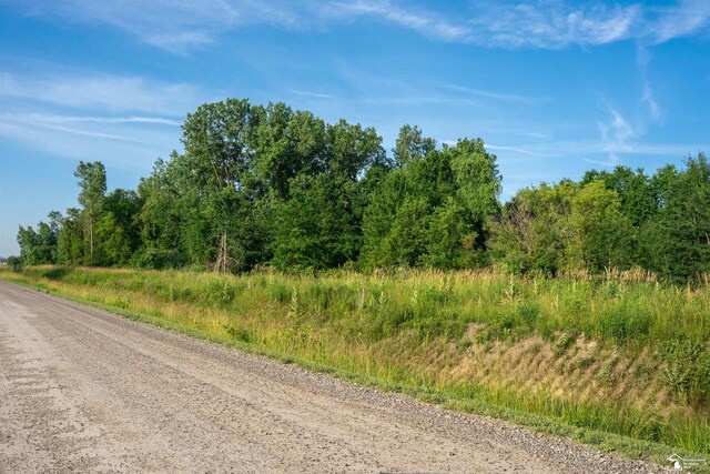 ParcelA Timbers Road, Carleton, MI 48117 - photo 16
