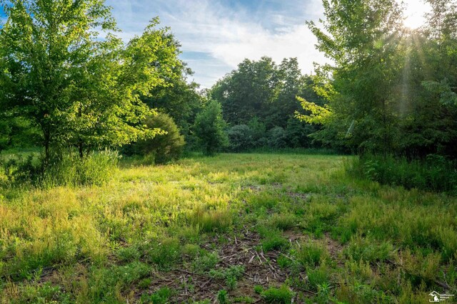 ParcelA Timbers Road, Carleton, MI 48117 - photo 18