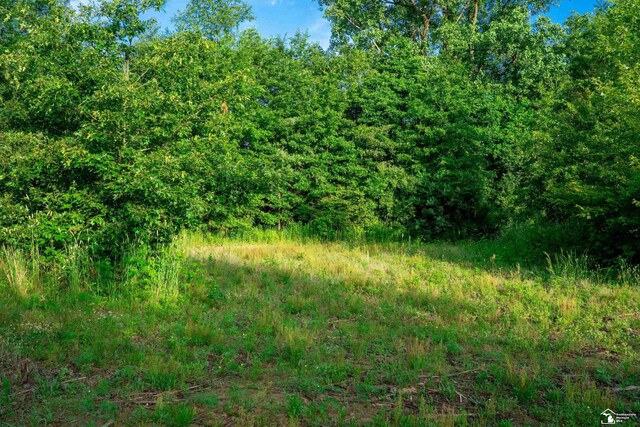 ParcelA Timbers Road, Carleton, MI 48117 - photo 19