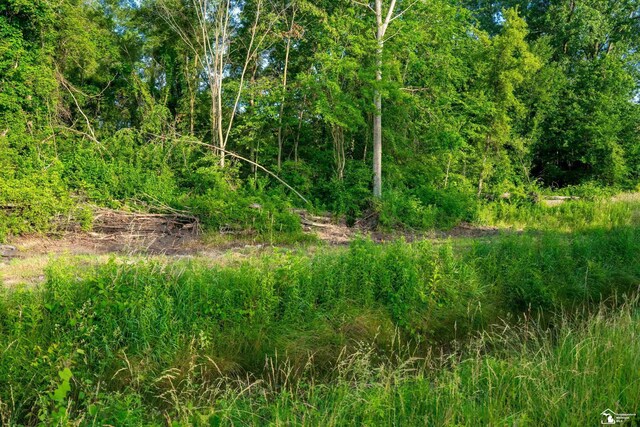 ParcelA Timbers Road, Carleton, MI 48117 - photo 23
