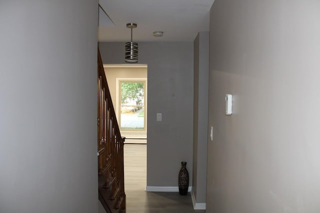 2906 Syracuse St, Dearborn, MI 48124 - hall with dark wood-style floors and baseboards
