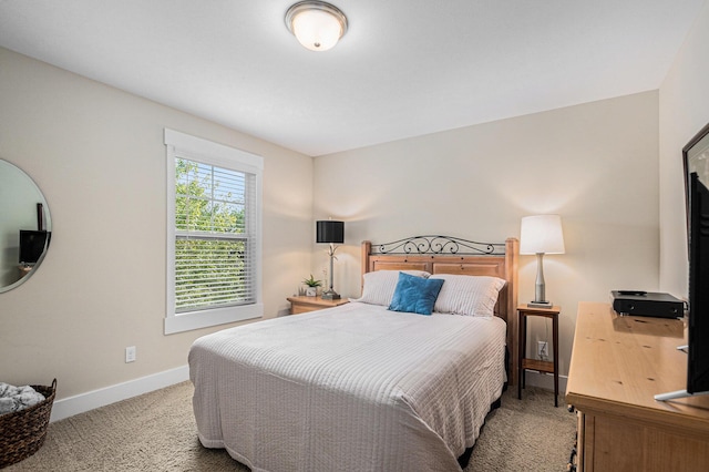 330 Rachaels Way, Spring Lake, MI 49456 - bedroom featuring carpet flooring and baseboards