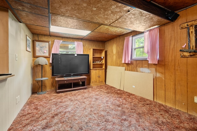 11867 4 Mile Rd, Battle Creek, MI 49015 - photo 19