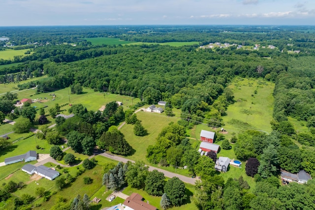 11867 4 Mile Rd, Battle Creek, MI 49015 - photo 39
