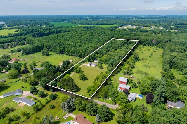 11867 4 Mile Rd, Battle Creek, MI 49015 - photo 40