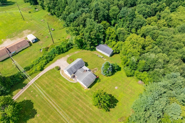 11867 4 Mile Rd, Battle Creek, MI 49015 - photo 41