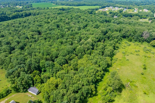 11867 4 Mile Rd, Battle Creek, MI 49015 - photo 46