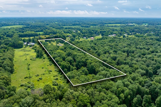 11867 4 Mile Rd, Battle Creek, MI 49015 - photo 48