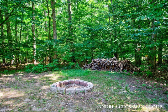 6187 Bayou Trl, Saugatuck, MI 49453 - photo 62