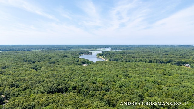 6187 Bayou Trl, Saugatuck, MI 49453 - photo 68