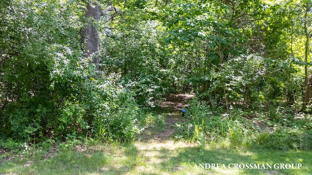 6187 Bayou Trl, Saugatuck, MI 49453 - photo 7