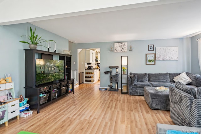 3439 N Mill Rd, Dryden, MI 48428 - living area with wood finished floors