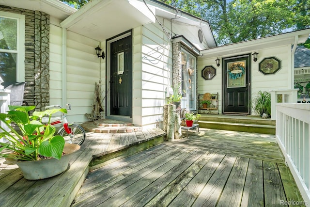 3439 N Mill Rd, Dryden, MI 48428 - view of exterior entry featuring stone siding