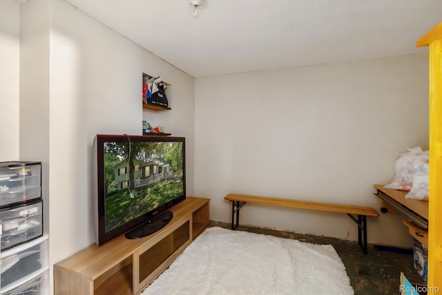 3439 N Mill Rd, Dryden, MI 48428 - view of bedroom