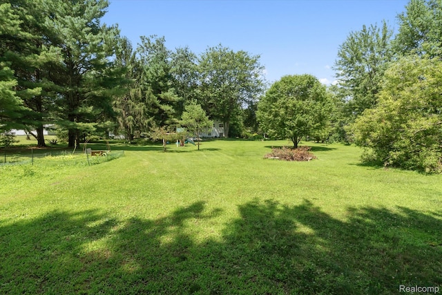 3439 N Mill Rd, Dryden, MI 48428 - view of grassy yard