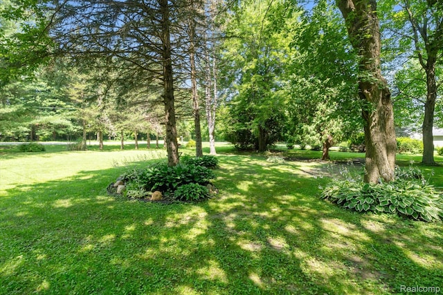 3439 N Mill Rd, Dryden, MI 48428 - view of grassy yard
