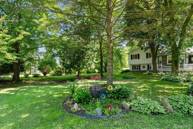 3439 N Mill Rd, Dryden, MI 48428 - view of grassy yard
