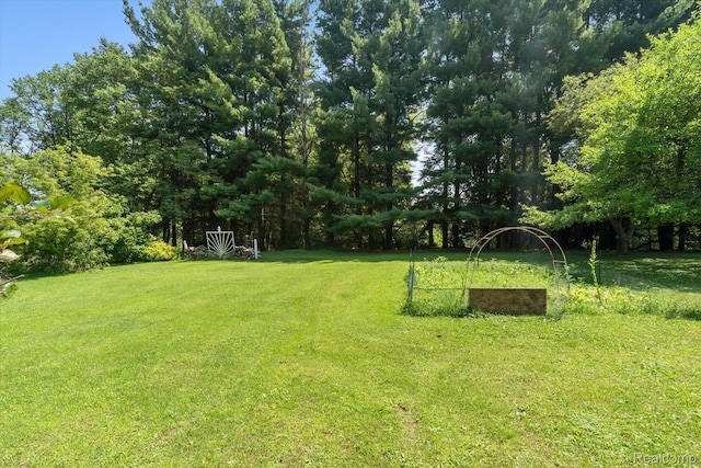 3439 N Mill Rd, Dryden, MI 48428 - view of green lawn