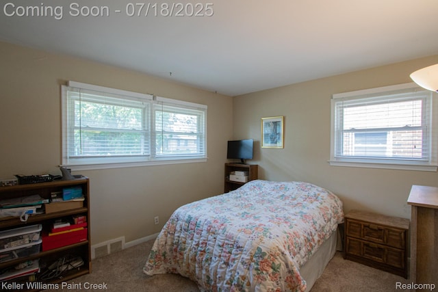 8336 Timberline Dr, Shelby Twp, MI 48316 - photo 19
