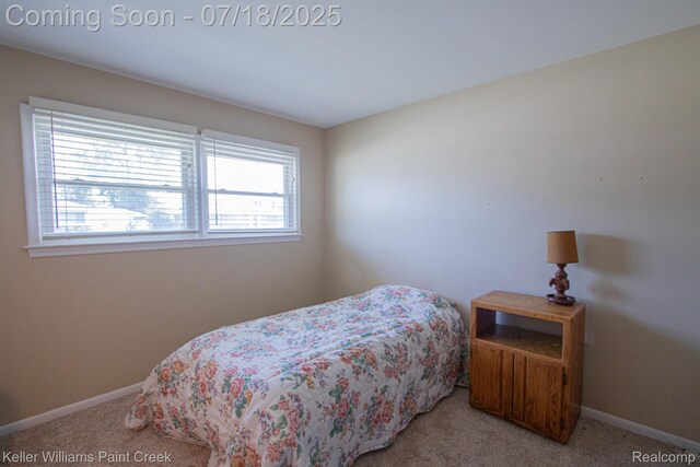 8336 Timberline Dr, Shelby Twp, MI 48316 - photo 13