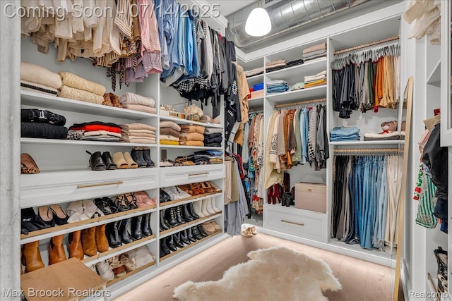 2051 Villa Rd Unit 302, Birmingham, MI 48009 - walk in closet featuring wood finished floors
