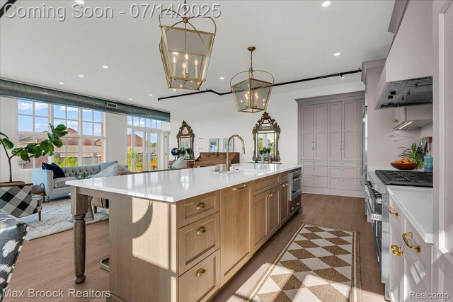 2051 Villa Rd Unit 302, Birmingham, MI 48009 - kitchen featuring appliances with stainless steel finishes, premium range hood, wood finished floors, light countertops, and a chandelier