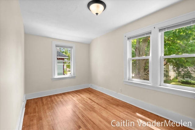 1340 Ashland Ave NE, Grand Rapids, MI 49505 - empty room featuring healthy amount of natural light and light wood-style floors