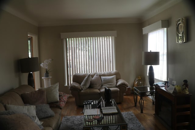 1122 Aberdeen St NE, Grand Rapids, MI 49505 - living room featuring dark wood-style floors