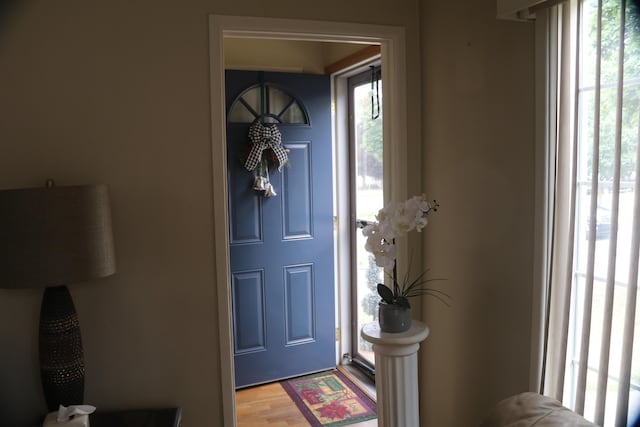 1122 Aberdeen St NE, Grand Rapids, MI 49505 - entryway featuring light wood finished floors