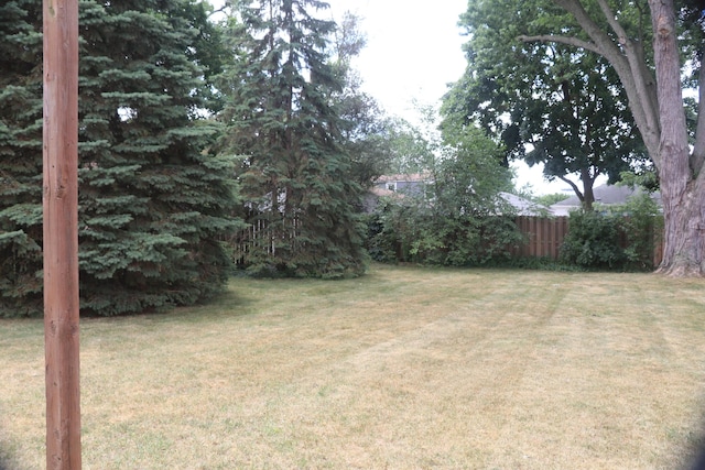 1122 Aberdeen St NE, Grand Rapids, MI 49505 - view of yard