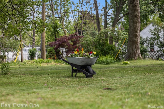 35451 John St, Wayne, MI 48184 - view of yard