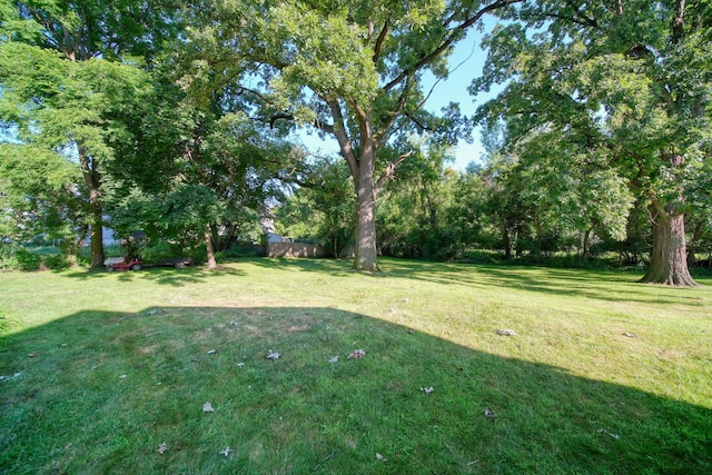 350 N Horton St, Jackson, MI 49202 - view of grassy yard