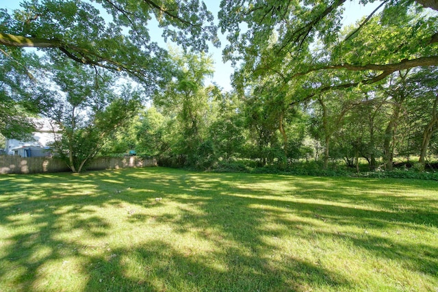350 N Horton St, Jackson, MI 49202 - view of yard