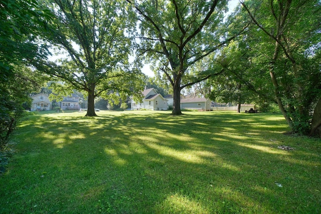 350 N Horton St, Jackson, MI 49202 - view of green lawn