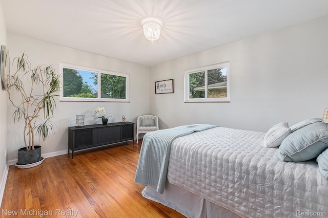 23306 Greencrest St, Saint Clair Shores, MI 48080 - bedroom with multiple windows and wood finished floors