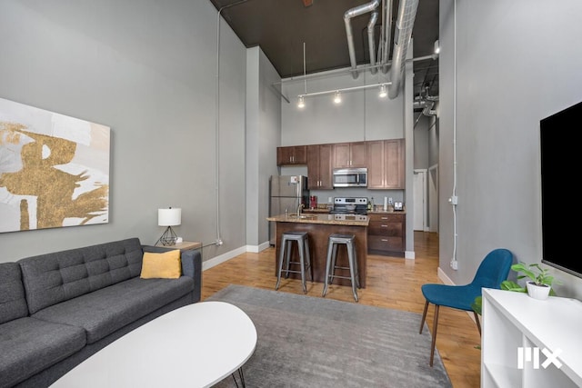 139 Pearl St NW, Grand Rapids, MI 49503 - living room with attic access, a high ceiling, light wood-type flooring, and rail lighting