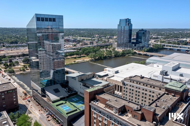 139 Pearl St NW, Grand Rapids, MI 49503 - view of urban area with a nearby body of water and a notable bridge