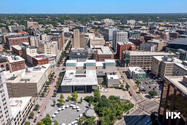 139 Pearl St NW, Grand Rapids, MI 49503 - city view