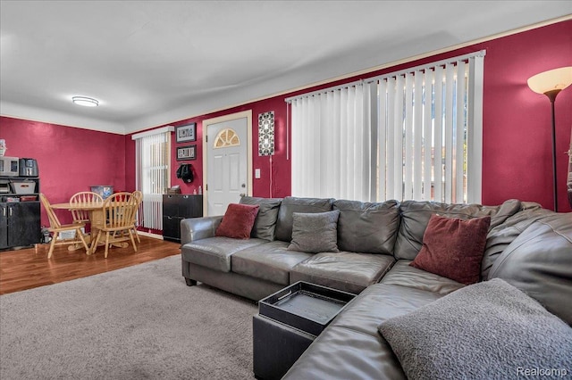 14877 Oconnor Ave, Allen Park, MI 48101 - photo 5